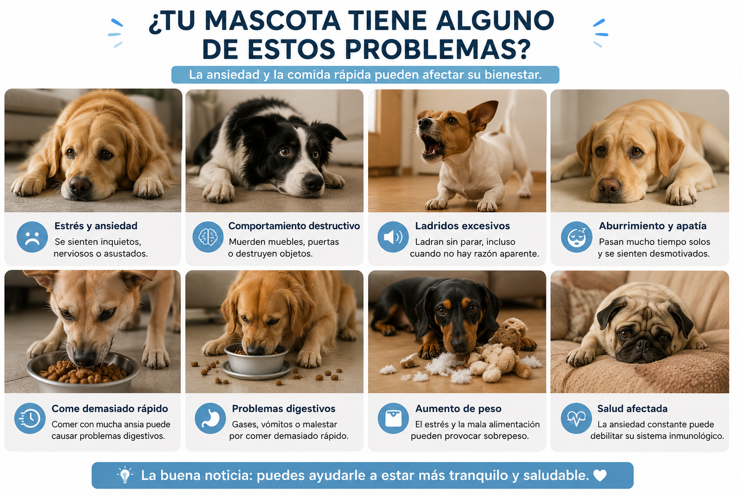 Comedero para mascotas para reducir el estrés.